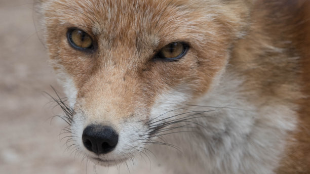 生活的时刻图片下载