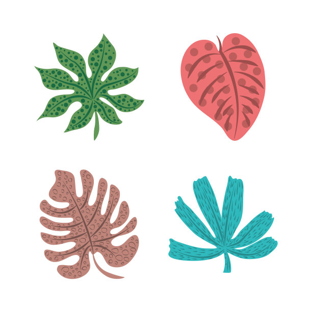 热带叶，自然植物，异国情调的图标设置图片下载