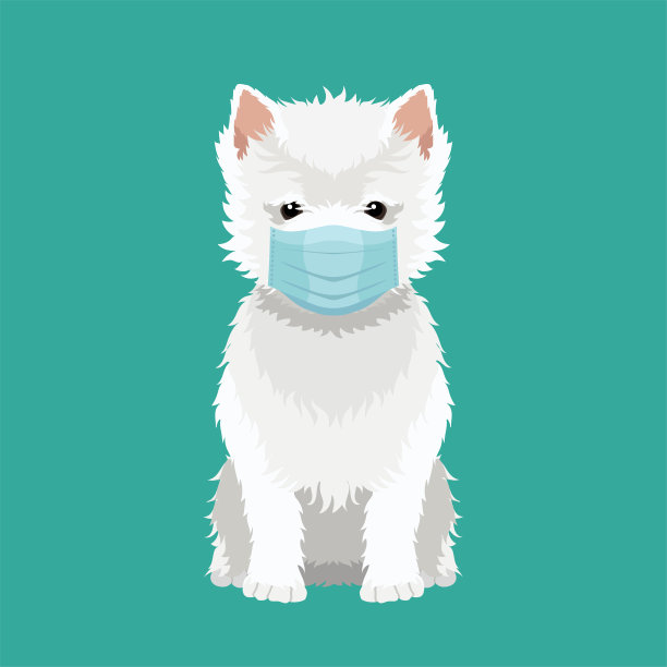 矢量肖像西部高地白色小猎犬戴面罩图片下载