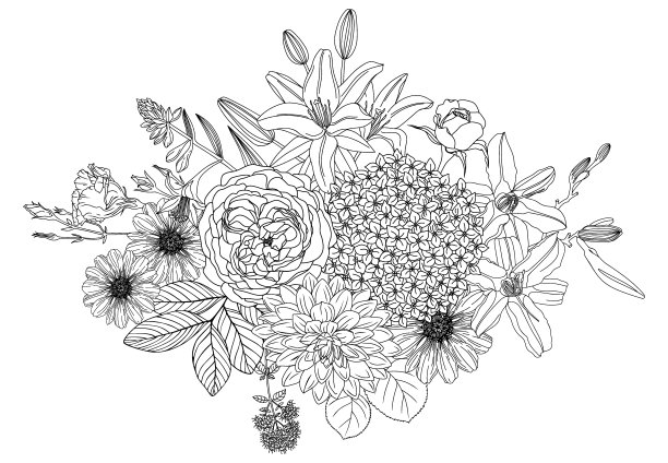 夏花组成图片下载