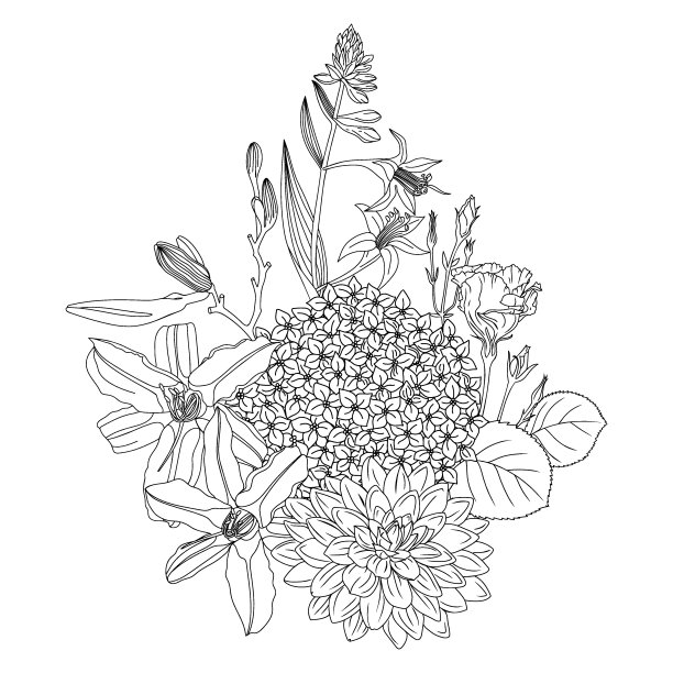 夏花组成图片下载