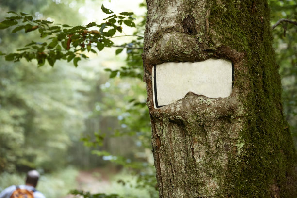 带标志的老树图片下载