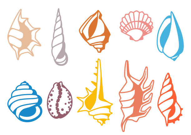 集贝壳图片下载