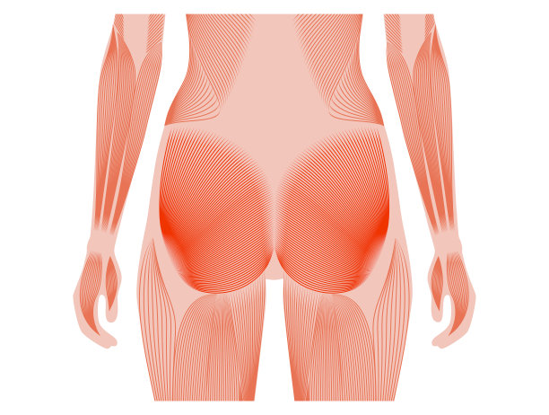 肌肉回来图片下载
