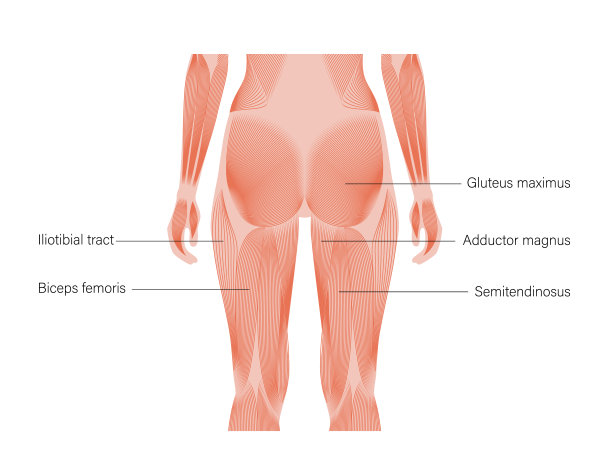 肌肉回来图片下载