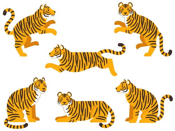 插图设置的老虎在各种姿势图片下载