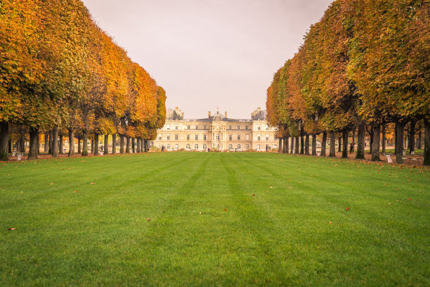 法国巴黎卢森堡花园，秋日的巴黎，被桔黄色的秋叶覆盖图片下载