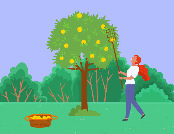 园艺农民从树上摘苹果图片下载