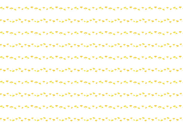 银杏的叶子。条纹图案，背景材质A4, A3比例(白色背景)图片下载