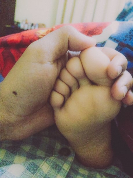 一对夫妇的脚和手图片下载