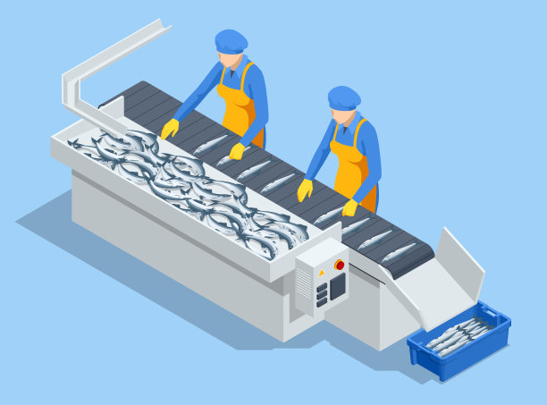 水产行业海产品等距生产，鱼类分选概念。售前准备工作。图片下载