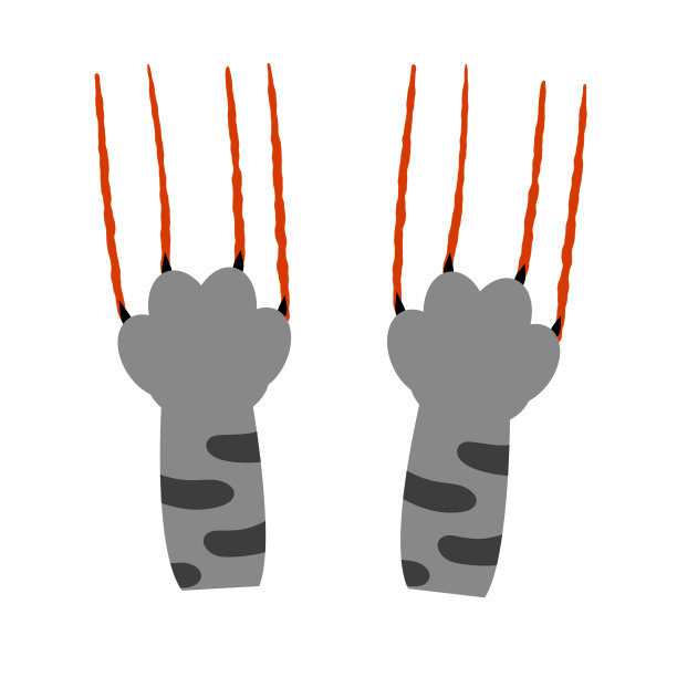 灰猫脚。有血迹的抓痕。侵犯和伤害。图片下载