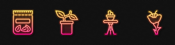 在盆中放置线植物在桌子上，装满植物种子和花。发光的霓虹灯图标。向量图片下载