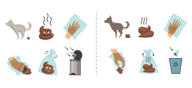 狗屎清理步骤信息图表集拾取图片下载