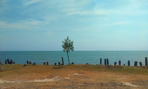 美丽的孤独图片下载