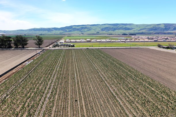 加州101公路沿线的农田图片下载