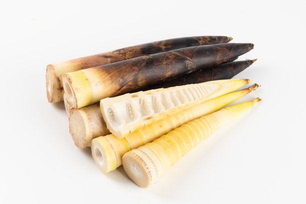 白底上新鲜采摘的竹笋图片下载