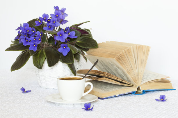 白色的桌子上放着一本书和一杯咖啡，篮子里放着花图片下载