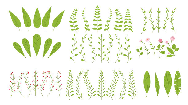 植物类，花架，绿植，枝干图片下载