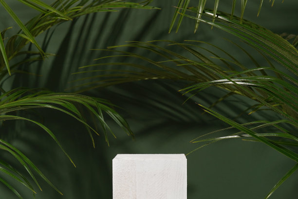 化妆品广告摊位。木制的白色讲台在绿色的背景与棕榈叶和阴影。展示产品包装的空基座。模型图片下载