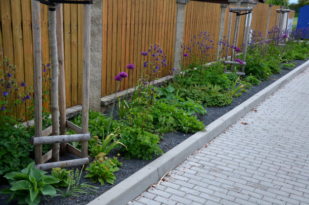 在城市环境中，铺满砾石的彩色草原花床吸引着昆虫和蝴蝶。在精油的角落里，巨石迎着边缘穿越图片下载