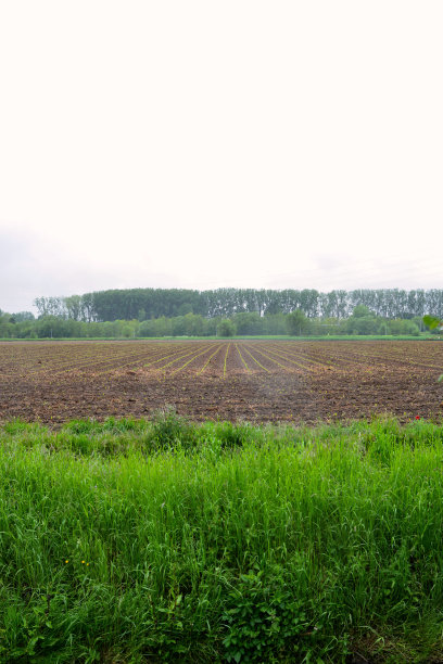 欧洲的绿棕色景观图片下载