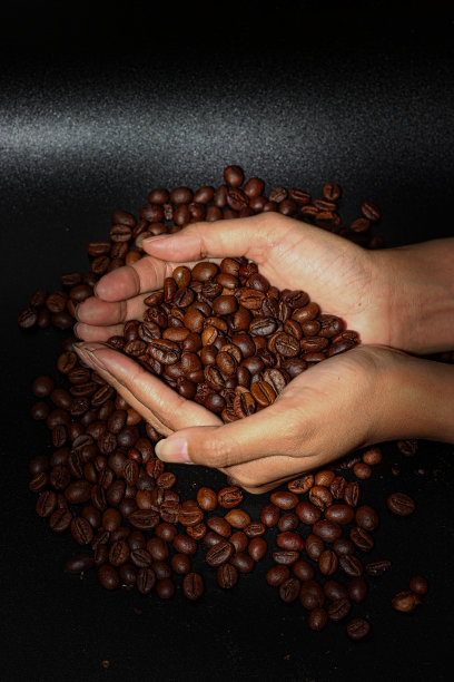 手里拿着咖啡豆图片下载