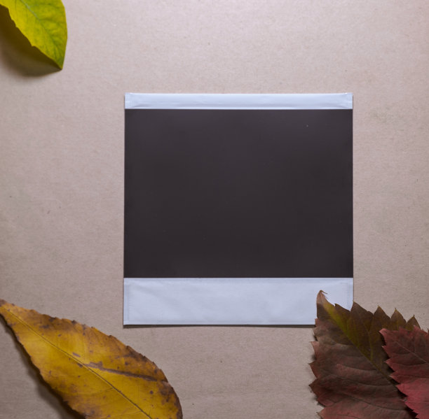 空白相框与秋叶在棕色的背景作为平面设计模板。带有标识或文本空间的照片卡。图片下载