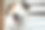 可爱的Jack Russell在家里对着镜头微笑图片下载
