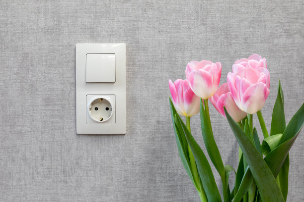 空灰色墙壁上的电灯开关和接地插座。靠墙放着一束郁金香，还有一个开关和插座图片下载