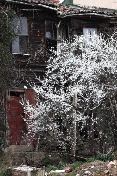 老房子图片下载