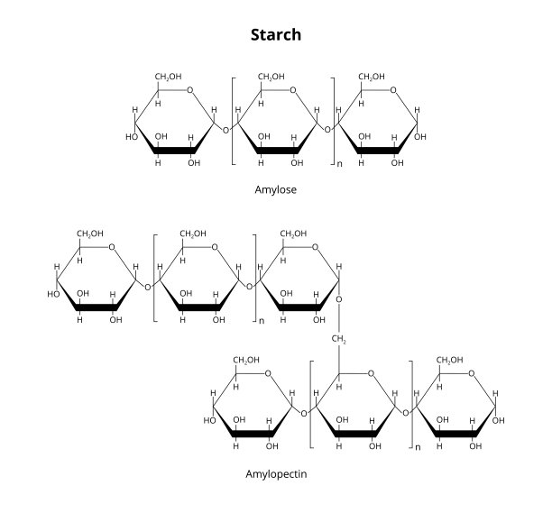 含直链淀粉和支链淀粉的天然生物高分子多糖淀粉的结构式。图片下载