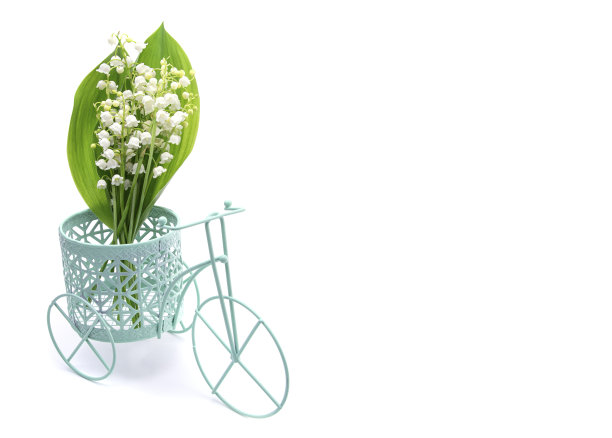 百合在装饰自行车上的白色孤立的背景，文字的空间图片下载