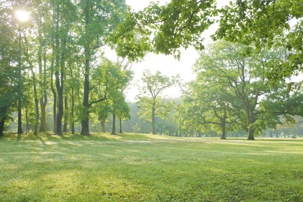 格林公园图片下载