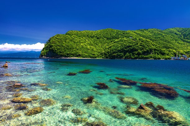 日本静冈县大滨海岬的夏季风光图片下载