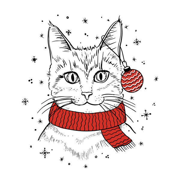 可爱的小猫与圣诞球有趣的猫图片下载