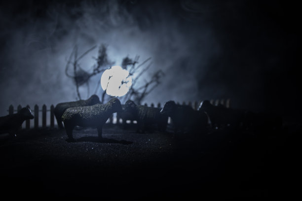 农场里的羊。农场(村)生活理念。晚上装饰玩具人物。有选择性的重点图片下载