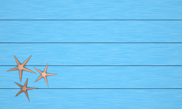 海星在蓝色的树林里。图片下载