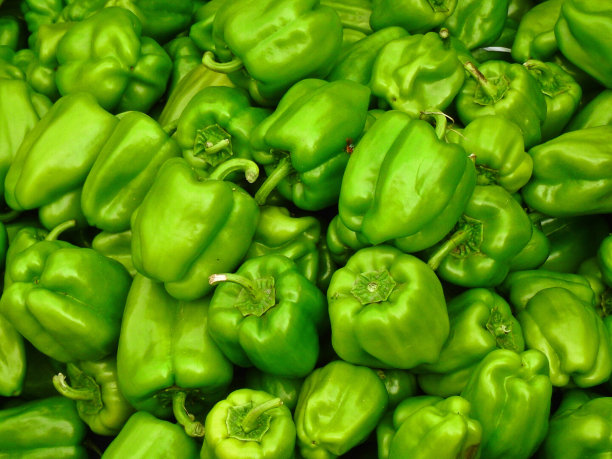 鲜绿的辣椒图片下载