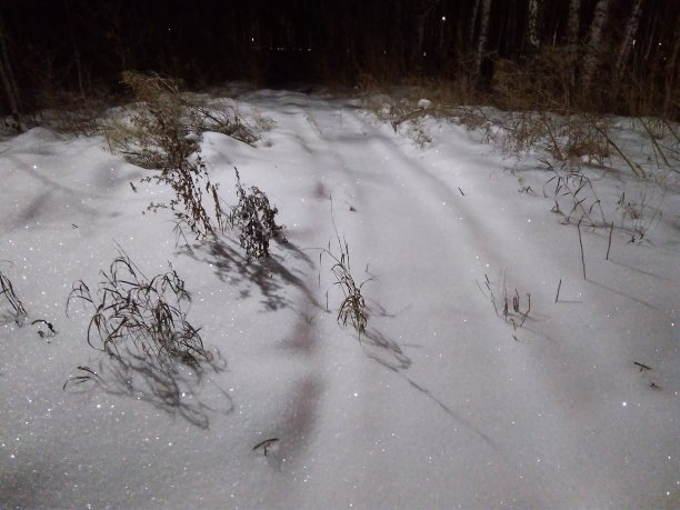 冬天马路上的雪晚上在公园里积起了雪图片下载