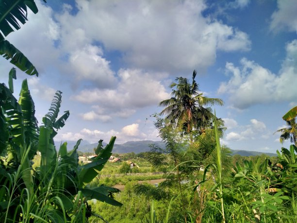 下午的景色图片下载
