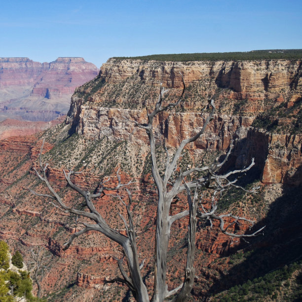 国家公园大峡谷，内华达州图片下载
