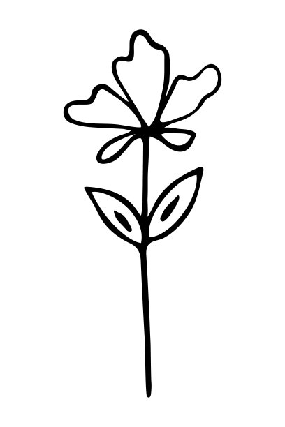 向量孤立的元素。插图与花。极简主义手绘涂鸦。黑色的线。图片下载