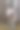 可爱的新生小羊羔被隔离在农田里图片下载