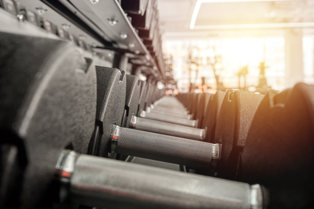 在健身房有许多不同尺寸的哑铃架图片下载