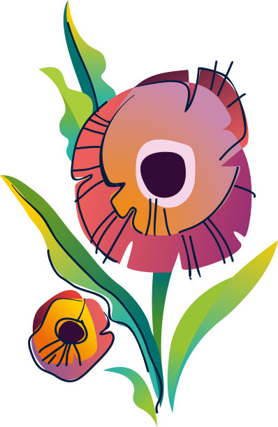 标志牡丹花绽放图片下载