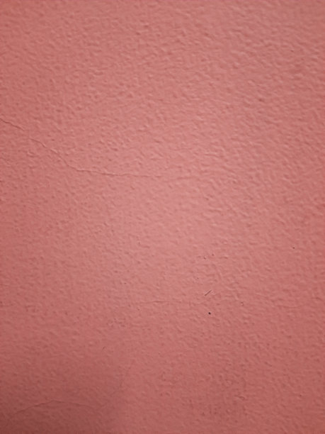 鲑鱼墙图片下载