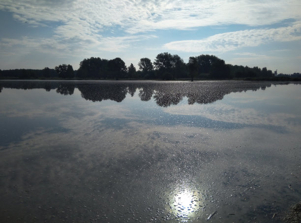 肮脏的暗湖死于水库的环境灾难图片下载