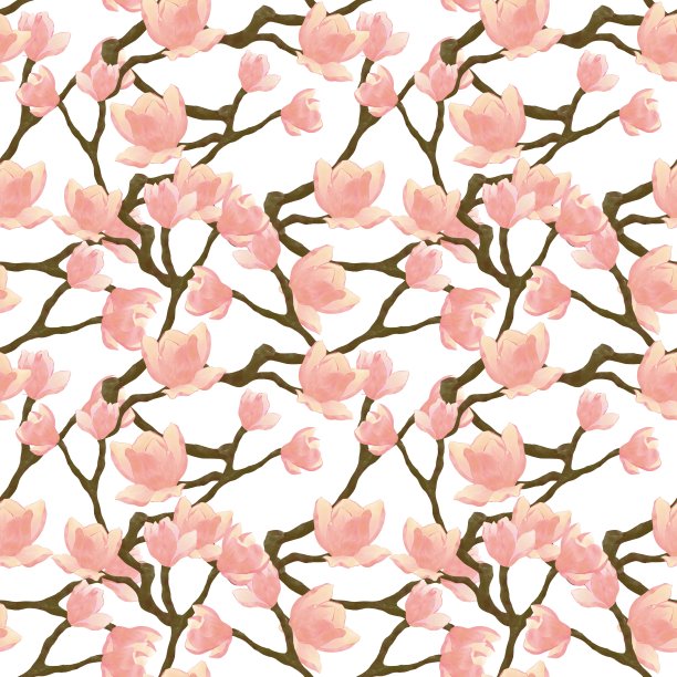 粉红色的木兰花在小枝上，无缝图案在白色的背景上图片下载