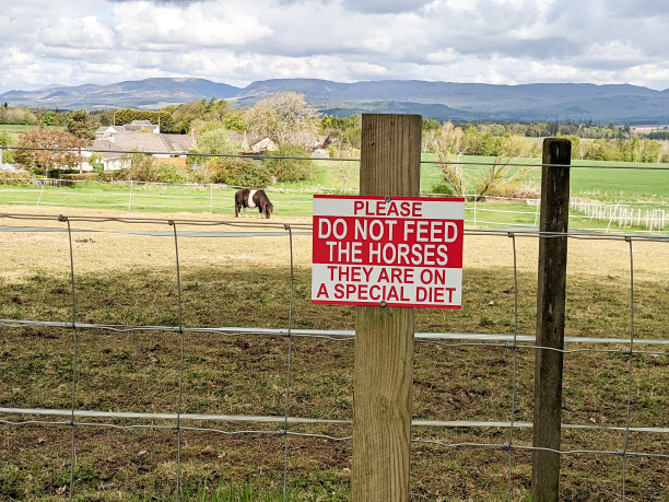 不喂马的标志图片下载